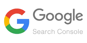 Search console logo